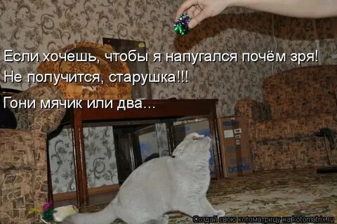 Почем зря