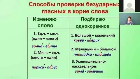 1 просв щение п тербургский поб лить