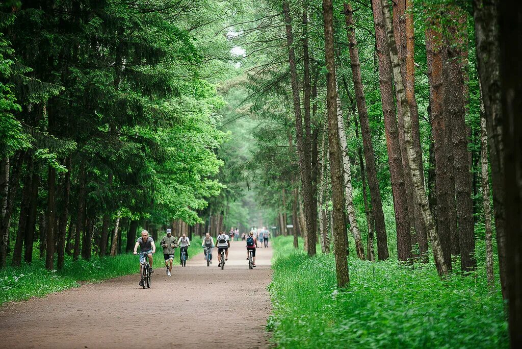 Мещерский парк переделкино. Погода мещерский парк. Погода мещерский парк. Мещерский парк одинцово. Мещерский лес солнцево озеро.