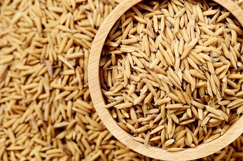 Самаркандский рис. Неочищенный рис падди. Рис сырец. Рис белый аланга. Воздушный рис с маршмеллоу.