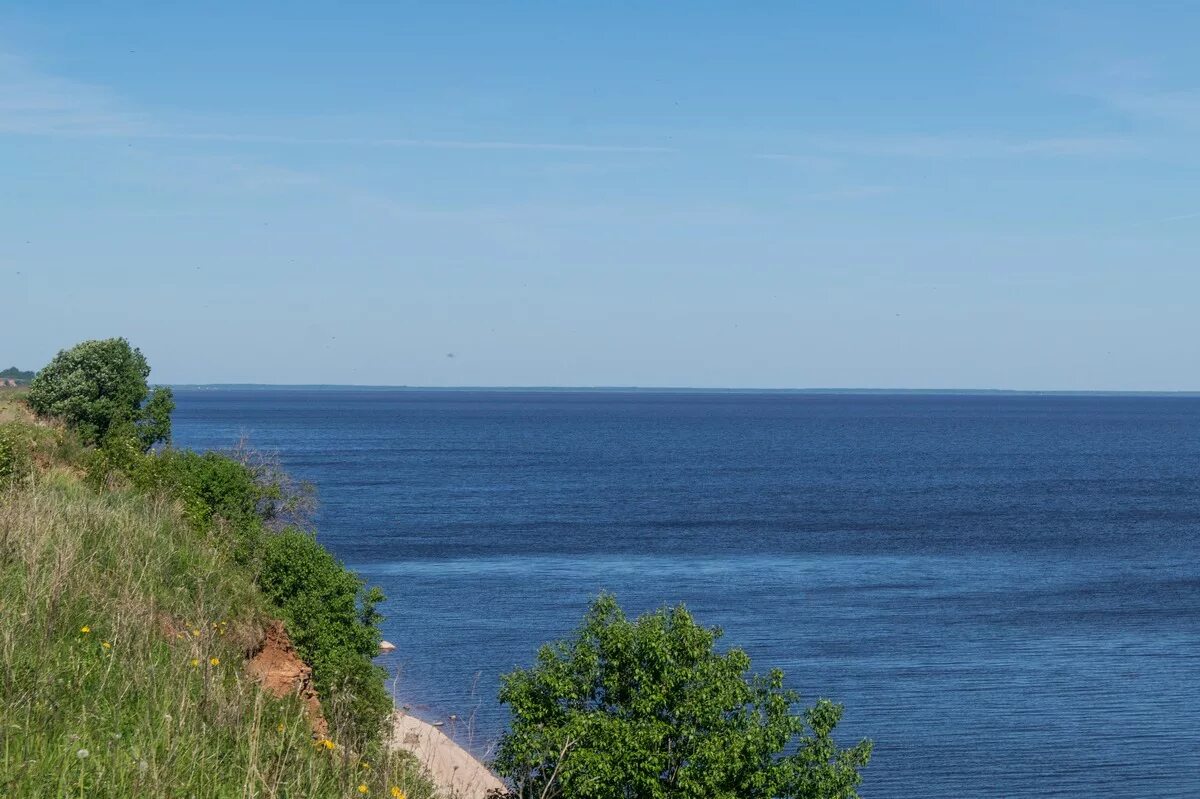 коростынь берег ильменя. озеро ильмень старая русса. озеро ильмень коростынь. озеро ильмень новгородская область. озеро ильмень.