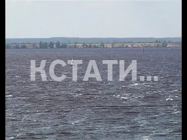 Кстати 23