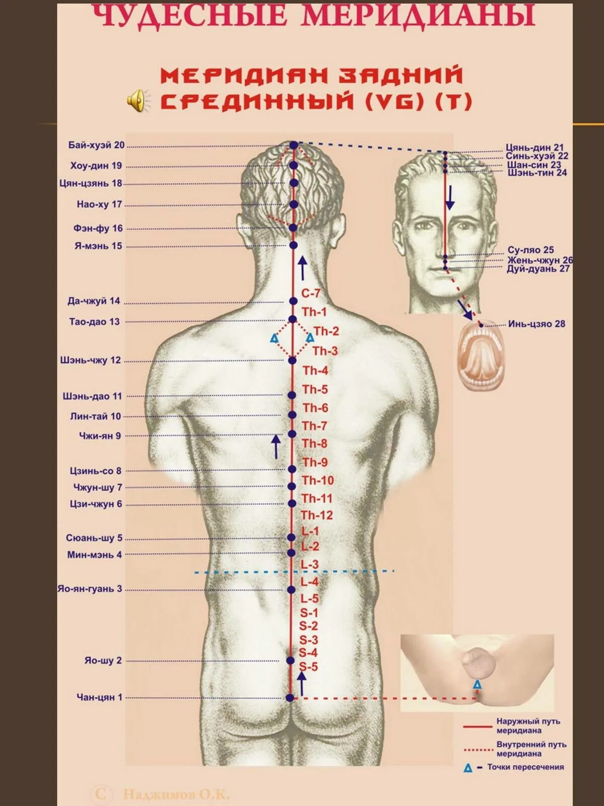 Названия точек человека. Акупунктура меридианы тела человека схема. Китайская Акупрессура атлас точек. Китайская медицина меридианы и биологически активные точки. Меридианы тела человека китайская медицина.
