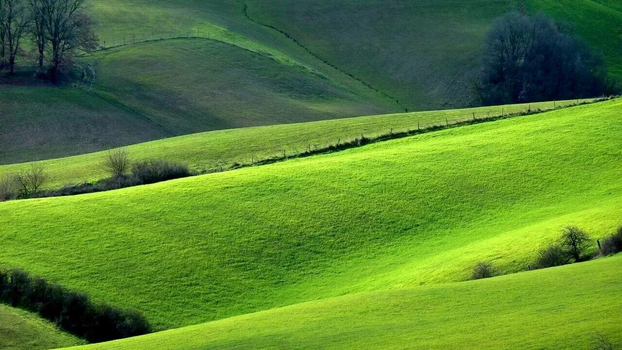Зеленый луг купить. Green Hills зеленые холмы Ирландии. Зеленые холмы 212525. Зелёные холмы (Inverness Green). Зеленые холмы Алтай.