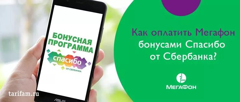 Мобильная связь бонусами спасибо. МЕГАФОН спасибо. Оплатить МЕГАФОН бонусами спасибо от Сбербанка. Оплатить мобильную связь спасибо от Сбербанка. МЕГАФОН оплата Сбербанка МЕГАФОН.