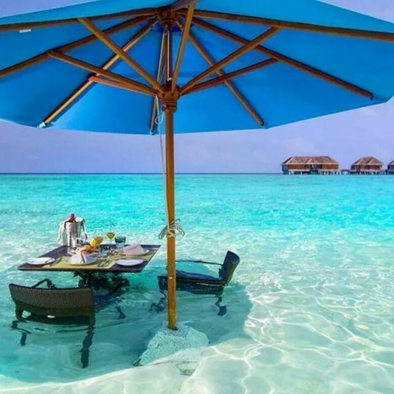 Где постоянно лето. Мальдивы Dusit Thani Maldives. Столик на Мальдивах. Завтрак на Мальдивах. Завтрак на воде Мальдивы.