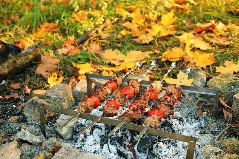 Можно ли шашлык в лесу. Шашлык осенью. Шашлыки в лесу осень. Осень шашлык красиво. Шашлык и осенние листья.