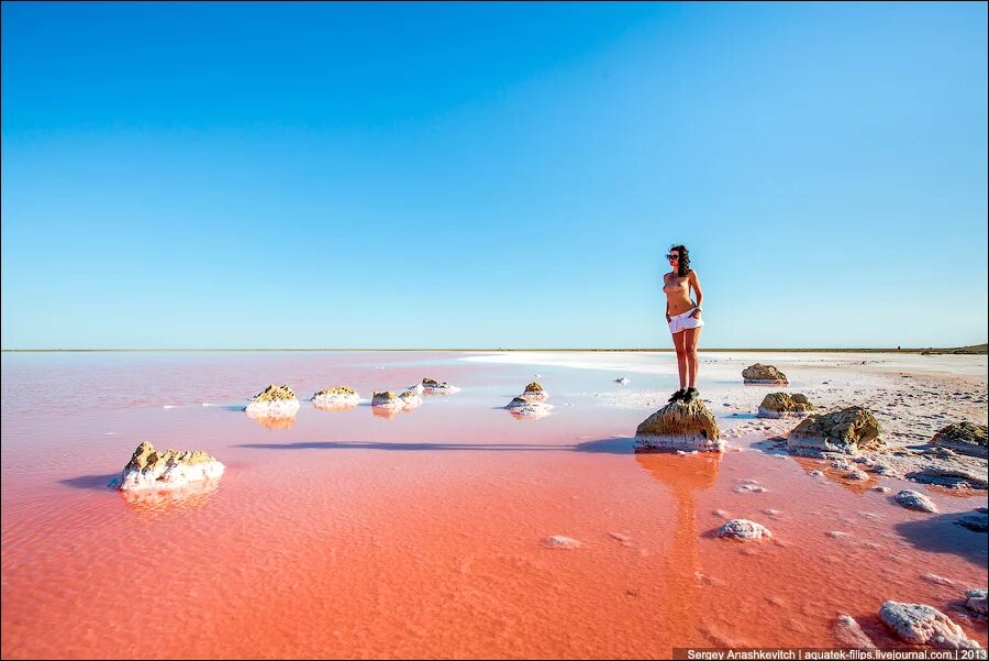 кояшское озеро керчь. крымское розовое озеро кояшское. розовое озеро в крыму кояшское озеро. розовое озеро в крыму где. опукский заповедник розовое озеро.