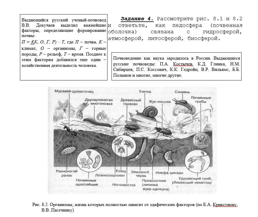 Рассмотрите рис 8.1 и 8.2 и ответьте как педосфера. Как педосфера связана с гидросферой. Педосфера границы. Литосфера и педосфера отличия.