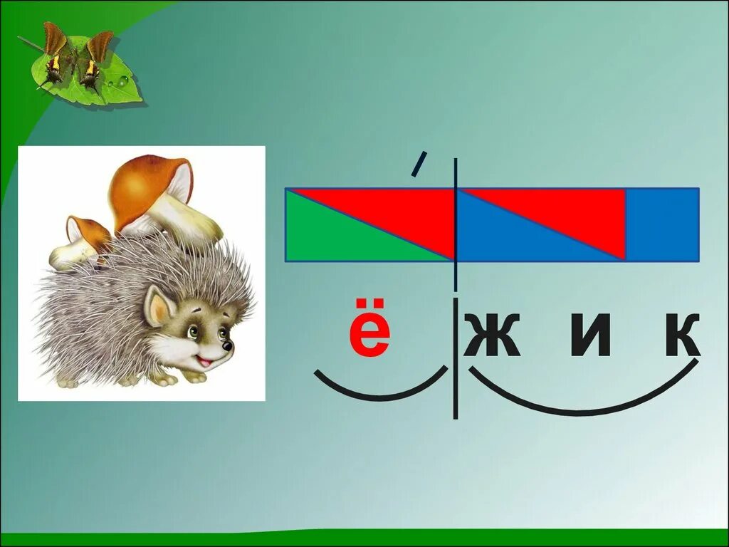 Состав слова ежика. Звук и буква е. Картинки на звук е. Схема слова Ёжик 1 класс. Ёж звуковая схема 1 класс.