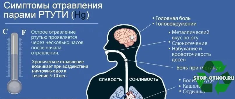 Можно ли отравиться градусником. Отравление ртутью. Стмптгмыотраыления ртутью. Симптомы отравления ртутью. Отравление парами ртути симптомы.