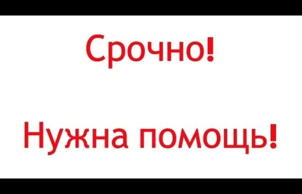 Срочно нужна помощь. Срочно. Нужна помощь. Срочно помощь.