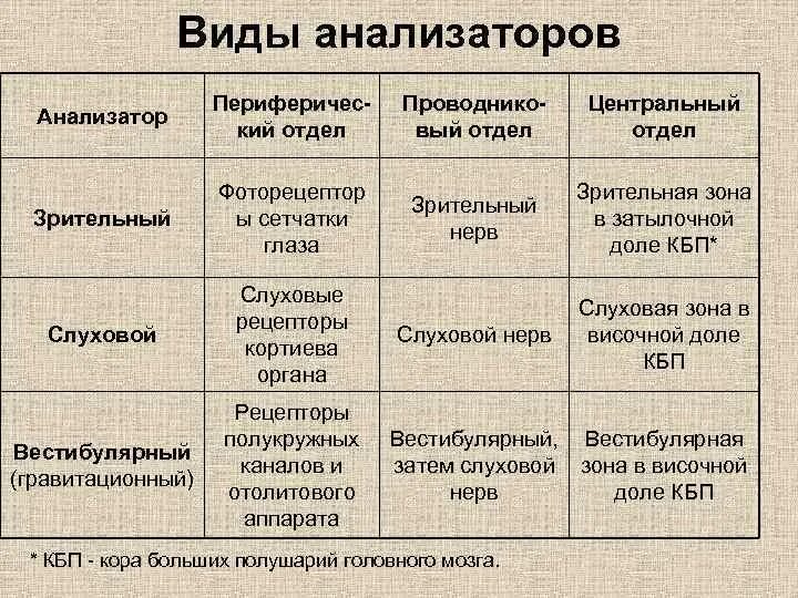 Виды анализаторов. Виды анализаторов таблица. Виды анализаторов человека. Виды анализаторов и их функции.