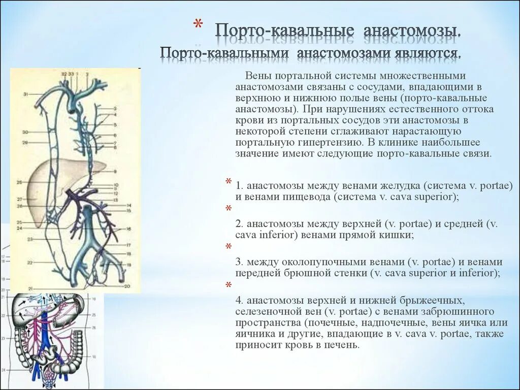 Порто портальный. Портокавальные анастомозы печени. Кавакавальные анастомозы схема. Порто-кава-кавальный анастомоз схема. Кава портальные анастомозы.