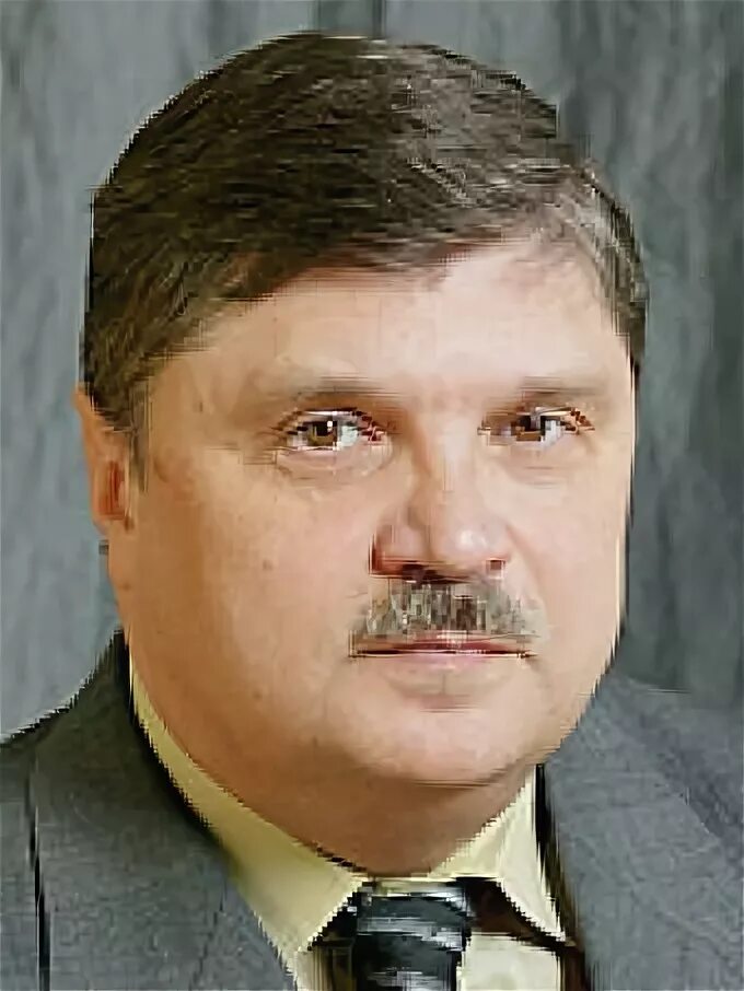 Мишина ю ю. Мишина ю ю