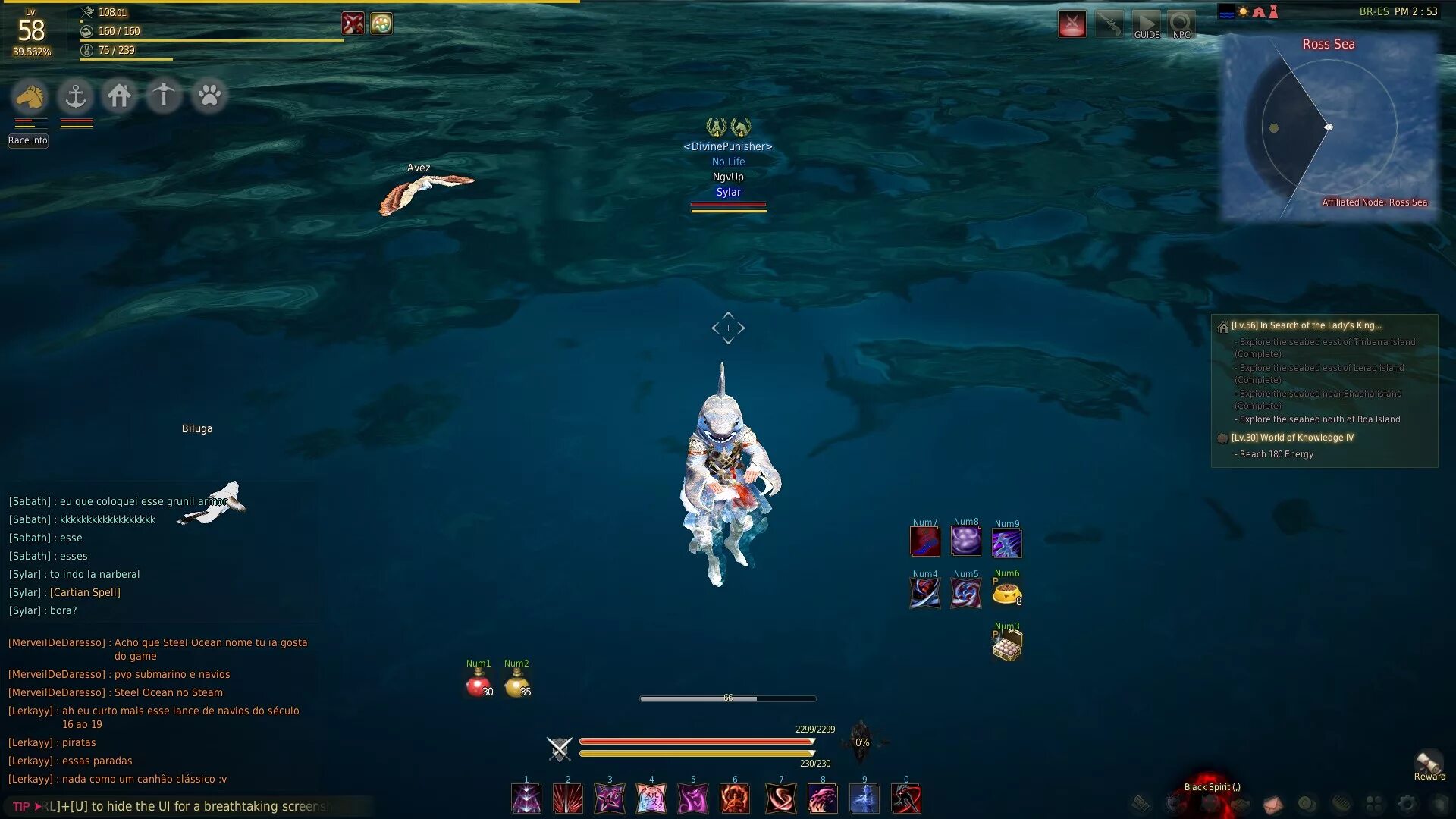 Бдо кораллы. Коралл бдо. Пятнистый коралл бдо. Коралл бдо. Голубой коралл бдо.