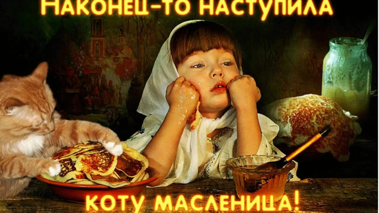 Масленица открытки с котом. Открытки с Масленицей. С Масленицей картинки прикольные. Масленица Веселые картинки.