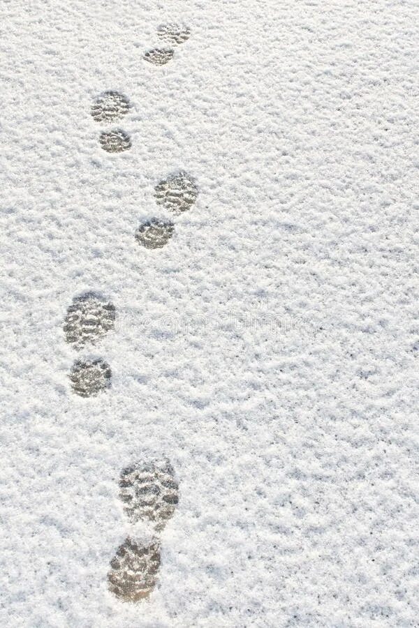 Дорожка следов сколько следов. Дорожка следов ног криминалистика на снегу. Следы обуви на снегу. Следы на снегу криминалистика. Следы обуви на снегу криминалистика.