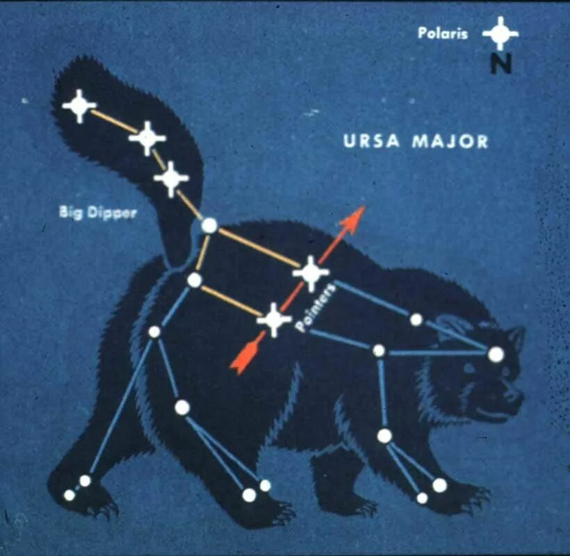 Знаки большой медведицы. Ursa Major Созвездие. Созвездие большая Медведица и малая Медведица. Большая Медведица Созвездие с медведем. Созвездие ковш большой медведицы.