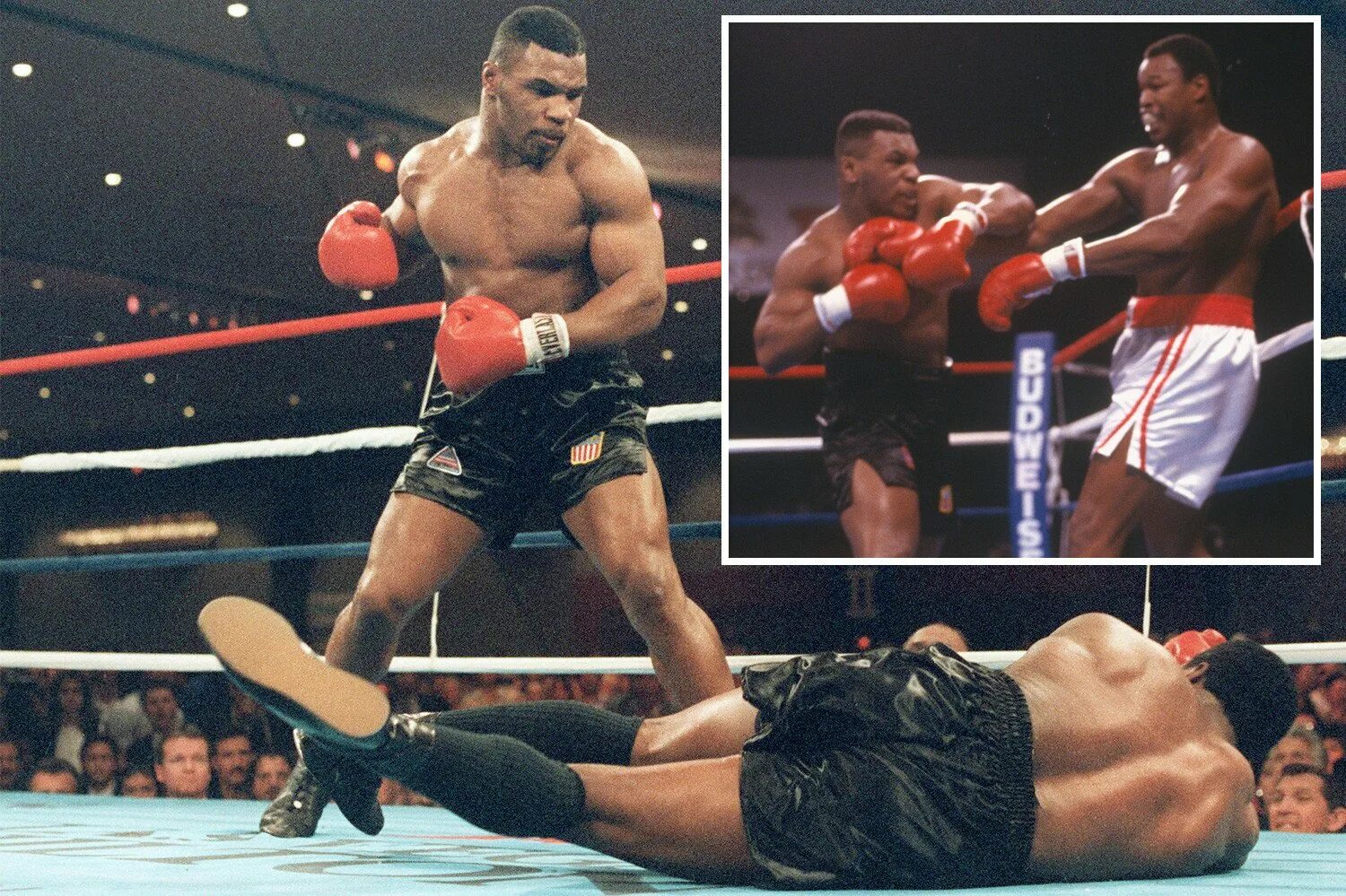 Бой тайсона с блогером. Тайсон 1988. Mike Tyson 1988. Ларри Холмс Тайсон.