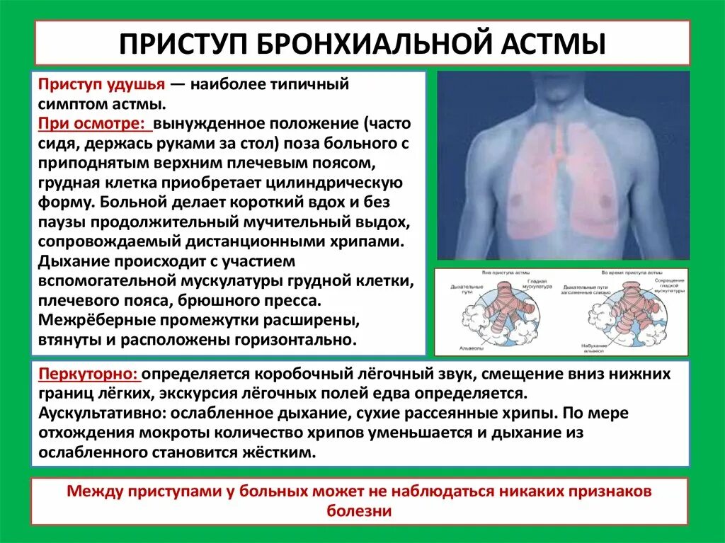 Тип грудной клетки при бронхиальной астме. Приступ бронхиальной астмы симптомы. Приступ удушья при бронхиальной астме. Приступ удушья при бронхиальной астме симптомы. Частое дыхание после