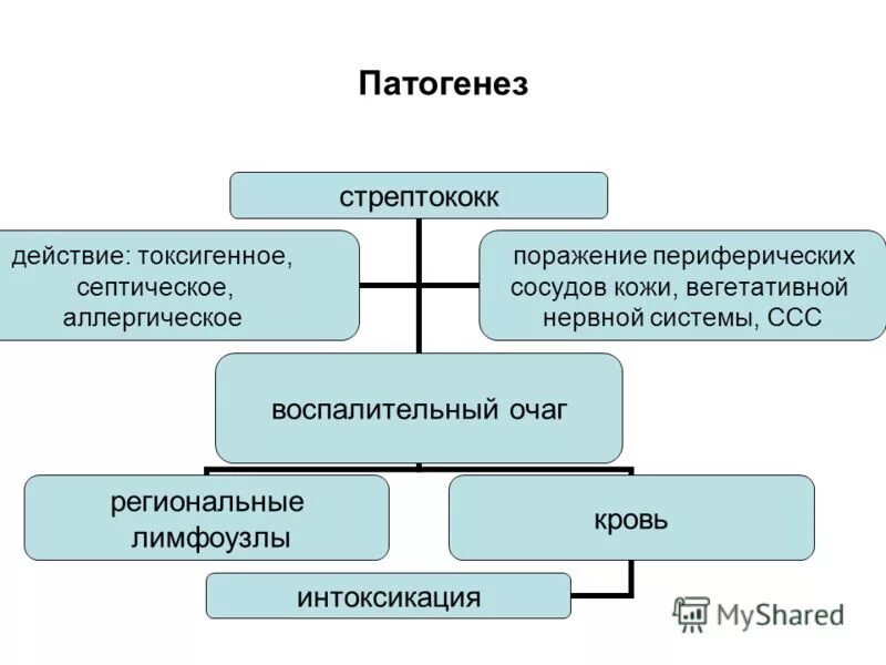 острая ревматическая лихорадка у детей патогенез. стрептококки патогенез. адгезины микробиология. стрептококки патогенез. патогенез ревматизма.