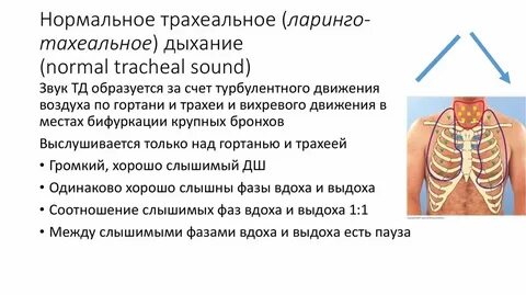 Свистит в грудине при дыхании