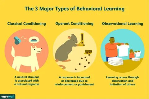 Rules of behavior in society