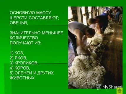 Масса шерсти