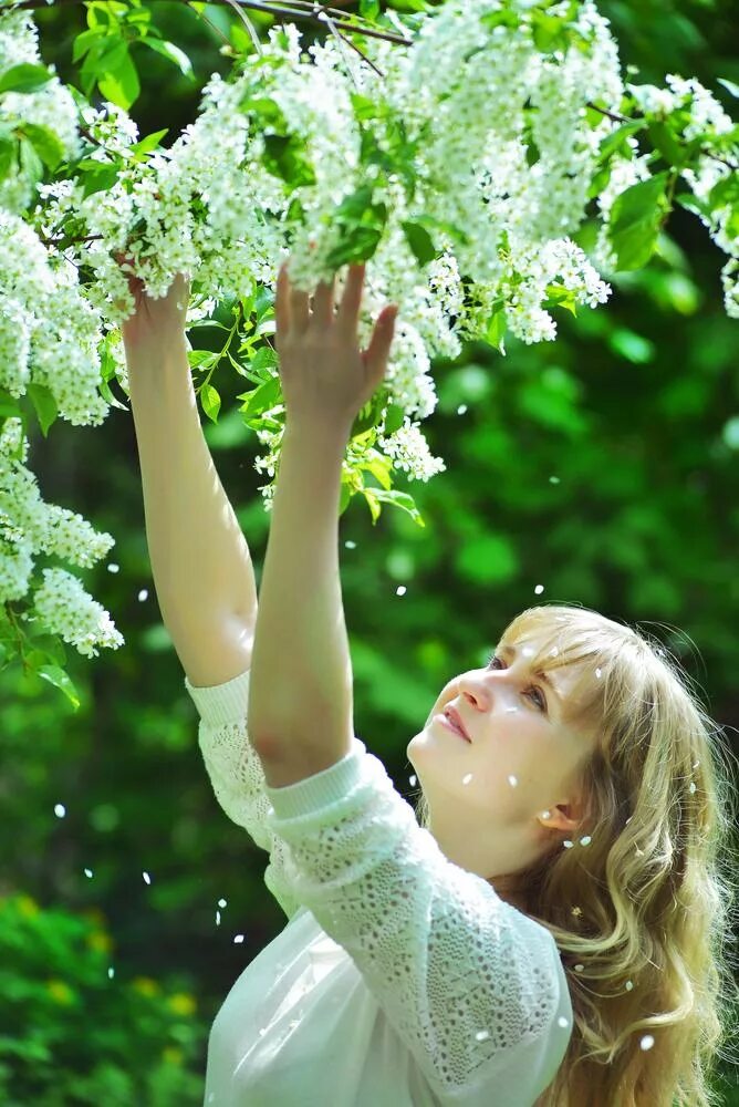 Женщина в цветущем саду. Девушка с черемухой цветущей. Фотосессия в цветущей черемухе.
