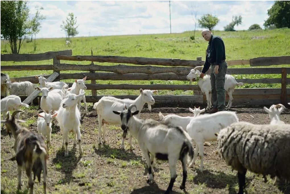 фермы владимира