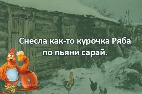 Кур снесли