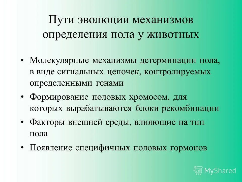 Бабочки тип хромосомного определения пола. Особенности формирования пола. Формирование пола у животных и человека. Формирование пола у животных и человека. Развитие половых признаков.