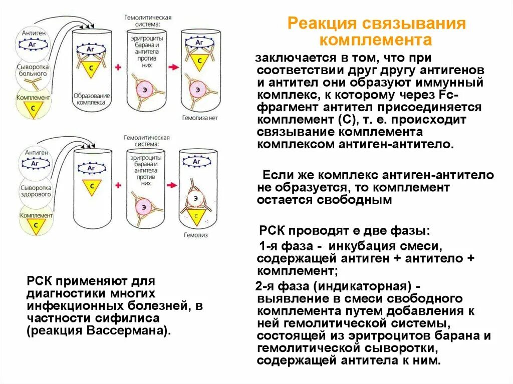 Комплемента рск. Реакция связывания комплемента РСК микробиология. Реакция связывания комплемента РСК 1 фаза 2 фаза. Реакция связывания комплемента метод. Реакция связывания комплемента компоненты реакции.