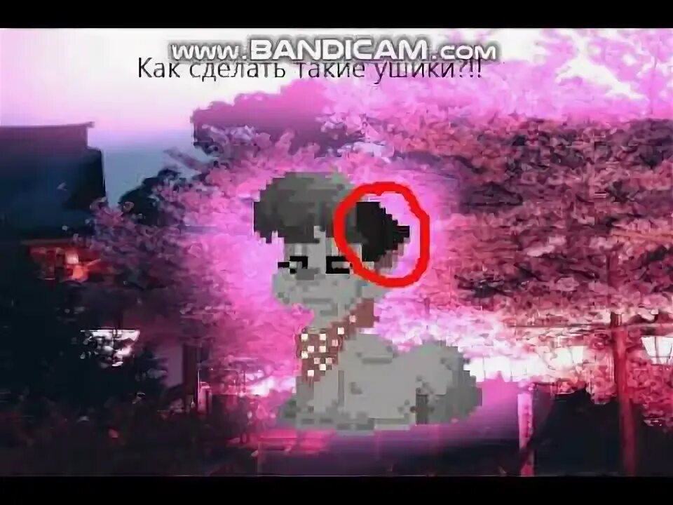 Коты в пони таун. Маска в пони таун. Чулка пони таун. Кошачьи ушки пони таун. Пони таун скины.