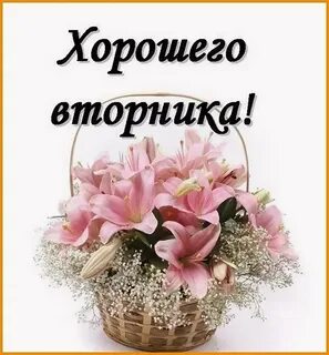 Удачного вторника