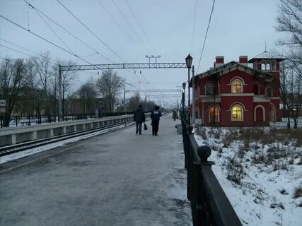 Электричка дачная стрельна