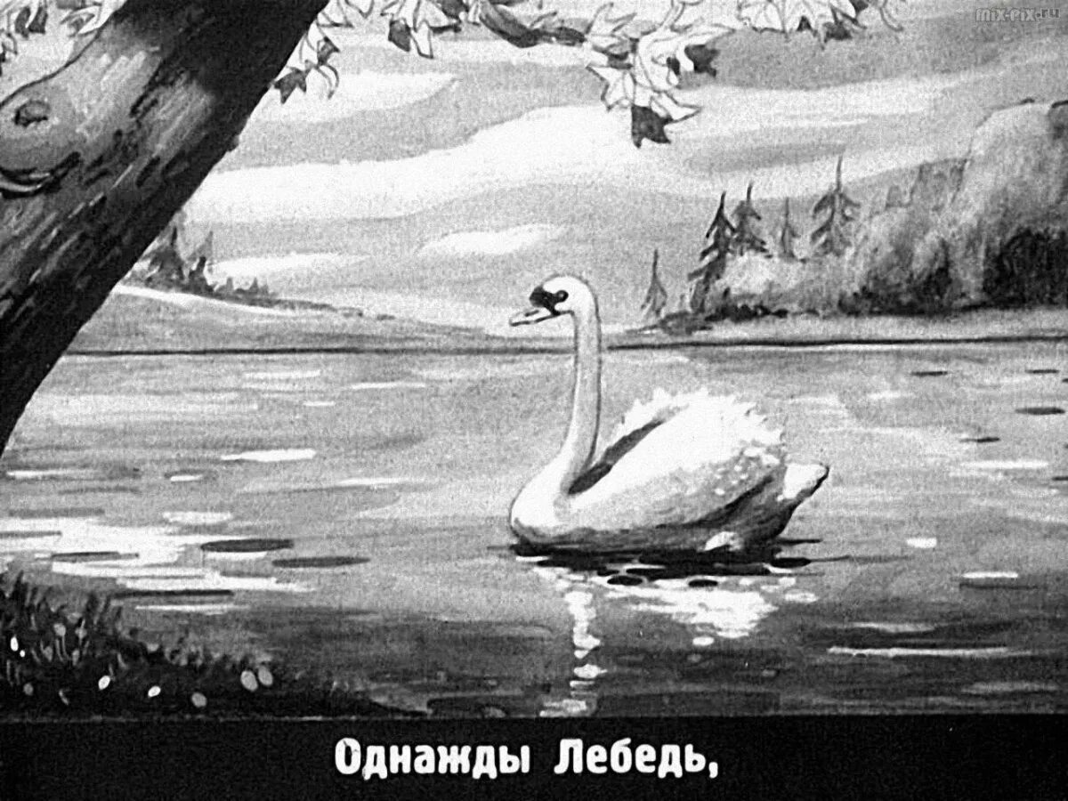 Монолог приемыш. Лебедь и гагары басня дмитриева. приёмыш мамин сибиряк. кот и лебедь басня крылова. рисунок к диафильму приемыш.