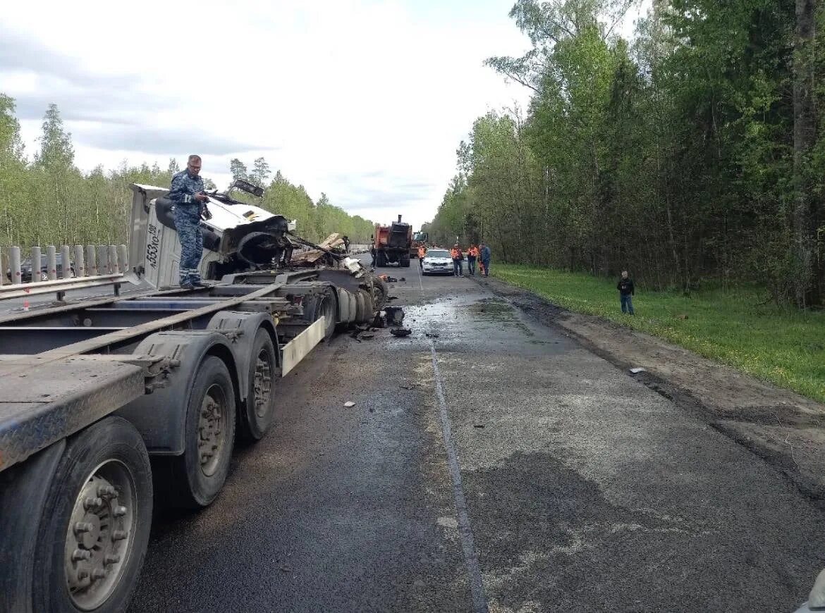 Происшествия в новгородской области. Трасса м10. Авария на м10 в Новгородской области.