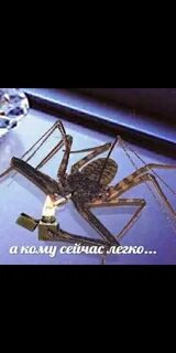 А кому сейчас легко