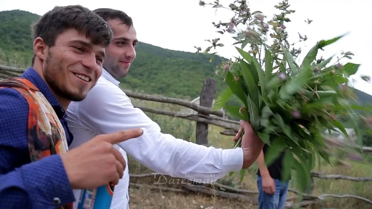 Селении гулли