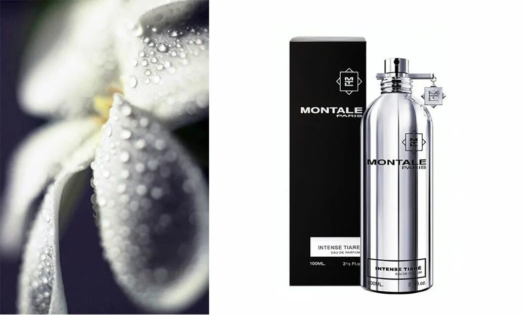 Saheb intense. Монталь intense Tiare. Montale intense Tiare духи. Montale духи женские Кокос. Montale intense Tiare крем.