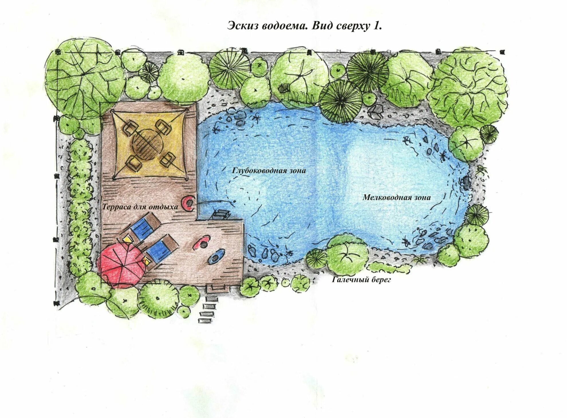 Пруд на участке план. Планировка участка с водоемом. Устройство водоема схема. Пруд на участке план. Образец бланк для озеленение территории.
