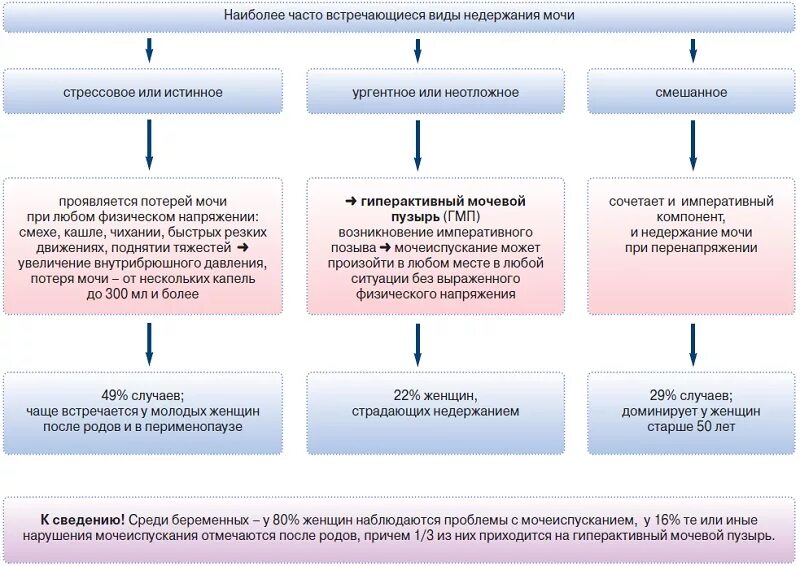 Какие лекарства от мочеиспускания. Виды недержания мочи. Причины недержания мочи. Степени недержания мочи. Типы стрессового недержания мочи.