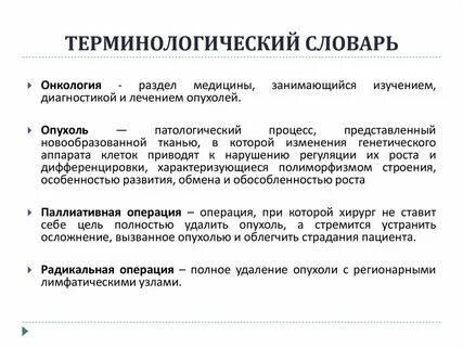 Терминологический словарь