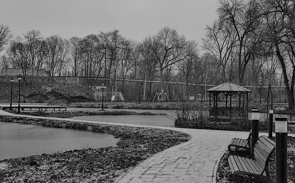 Елец центр города. Елец центр города. Пашинский украина. Пашинский елец. Нардеп пашинский.