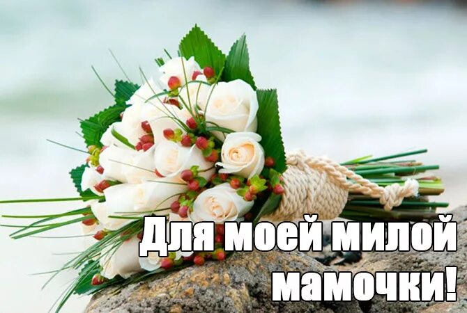 Мама ты лучше всех цветов. Подружке. Моя мама самая лучшая на свете. Красивое поздравление для мамочки. Мама ты лучше всех цветов.