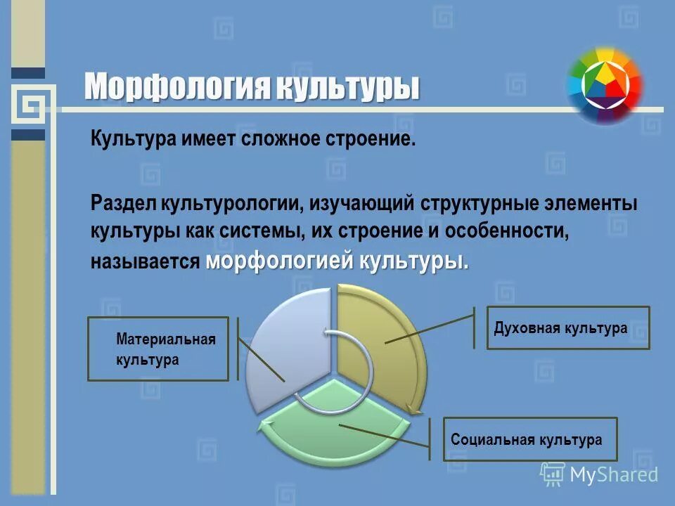 Морфологическая культура