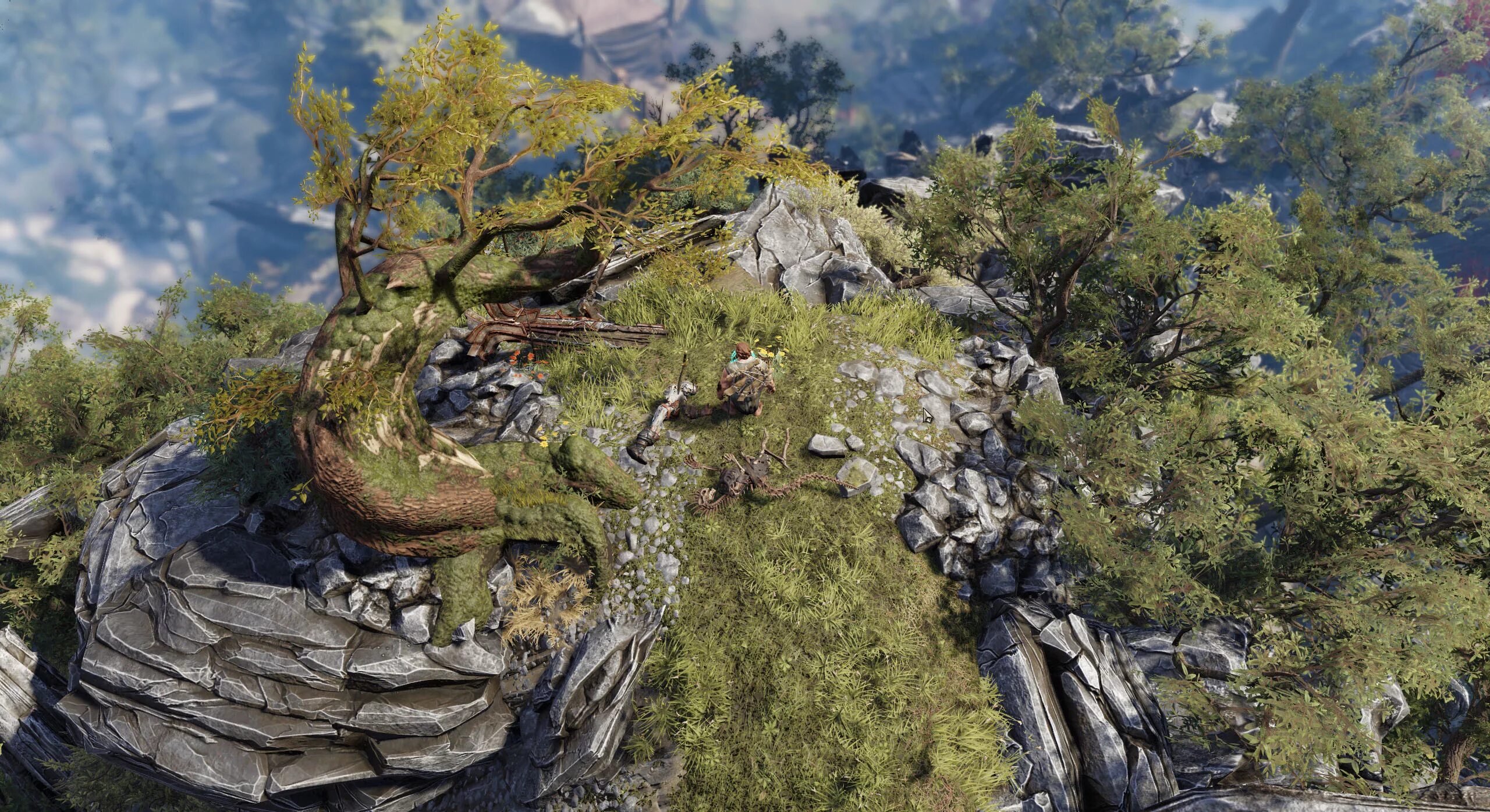 Divinity 2 switch. Дивинити. дивинити ориджинал син 2. divinity: original sin. фейн дивинити 2.