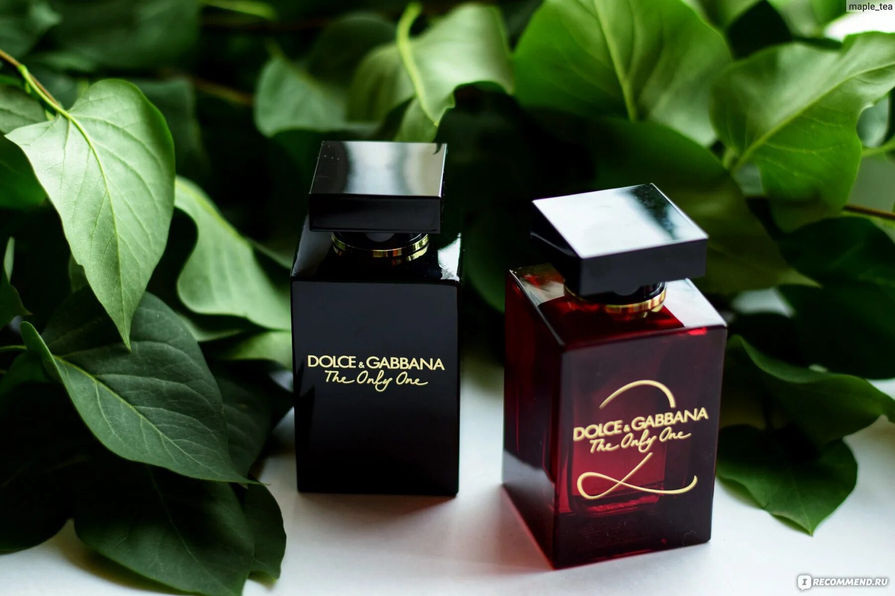 Dolce gabbana the only matte. Dolce gabbana the only one intense 10 мл. дольче габбана темный флакон. дольче габбана the only one женские черный флакон. дольче габбана the only one intense женские.